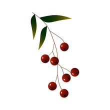 Branch With Red Berries And Leaves. Vector Illustration. For The Design Of Prints, Cards, Flyers, Clothing, Packaging, Brochures And Covers.