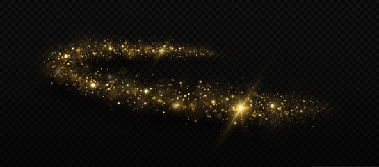 Wall Mural - Magic golden wave. Sparkle dust particles. Glowing circle trail. Luxury shiny circle of golden particles.