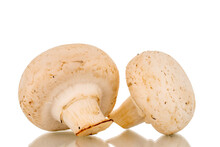 Two Organic Mushrooms, Close-up, Isolated On White Background.