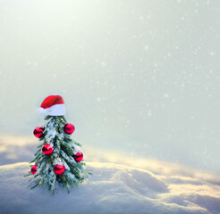Wall Mural - christmas tree with red santa hat on white snow.