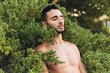 © ADDICTIVE STOCK - Muscular naked ethnic guy lying on green bush with closed eyes