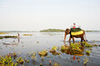© Matthew Wakem - Woman Riding Elephant at sunrise. Dambulla, Sri Lanka.