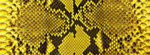 Texture Of Yellow Snake Skin. Leather Surface With Python Skin Texture.
