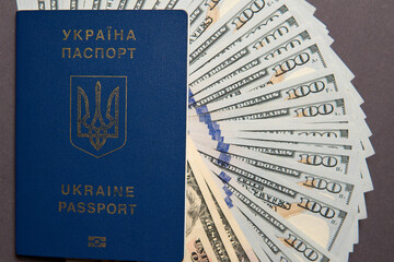 Wall Mural - Dollar money and Ukrainian passport