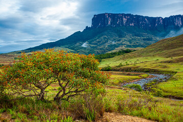 Wall Mural - Expedition to Mount Roraima, approaching the mountain, Venezuela