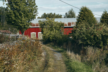 Wall Mural - Ovrenvegen Road, a rural gravel road of Toten, Norway, in fall.