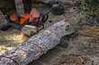 © detry26 - A woodcutter saws a dry tree for firewood with a chainsaw. A man is harvesting logs in the forest.