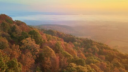 Wall Mural - Descending arial drone shot of golden sunlight over Ozark mountain forest in Arkansas with lake view and colorful fall colored leaves wrapped in fog and hazy 