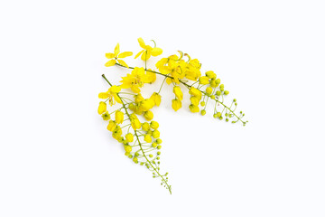 cassia fistula flower on white background.