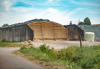 Wall Mural - Strohrollen