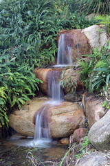 Small waterfall in a garden with plants and rocks