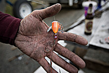 Filthy Dirty Hand Of A Fisherman Holding A Fishing Lure With A Sharp Hook 