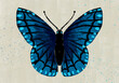 Blue Black Butterfly Digital Illustration. Menelaus blue morpho species. Watercolor splatter and Texture background. Iridescent colors and Winter theme graphic resource. Wings spotted blue design art