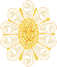 Flower Gold Jewellery Icon Cartoon Vector. Golden Jewelry. Pearl Bracelet