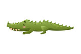 Fototapeta Dinusie - Cute Green Crocodile with Sharp Teeth as Australian Animal and Endemic Fauna Vector Illustration