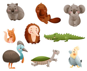 Wall Mural - cute australian animals and endemic fauna with echidna and koala vector set