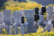 日本の墓地の墓石
