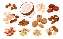Cartoon Isolated Organic Dry Nutty Food Mix, Natural Snack Collection With Healthy Coconut Almond Walnut Hazelnut Cashew Pecan Chestnut For Eating. Nut Seeds With Shells Set Vector Illustration