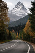 Beautiful winding autumn road through the trees against the backdrop of a large mountain. Caucasus, Dombay.