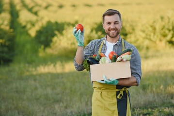 Wall Mural - Wooden box filled fresh vegetables