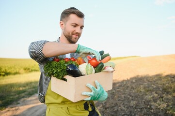 Wall Mural - farmer holding a crate of bio vegetables in the farm. Happy man showing box of harvested vegetables.