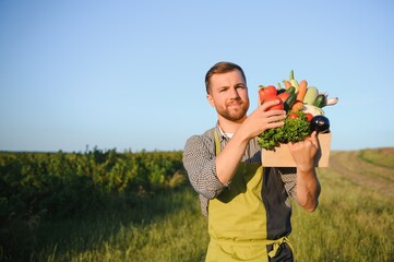 Canvas Print - Wooden box filled fresh vegetables