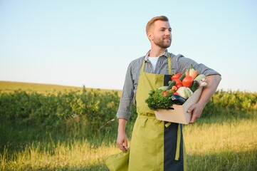 Canvas Print - A male farmer with a box of fresh vegetables walks along her field. Healthy Eating and Fresh Vegetables