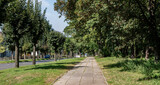 Fototapeta Miasto - Chodnik ciągnący się przez park o letniej porze w obszarach podmiejskich zachodniej Polski