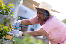 Senior African American Woman Wearing Hat And Working In The Garden