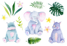 Watercolor Baby Animal Jungle Illustration, Safari Animals. Elephant Graphics, Hippo And Rhinoceros Wild Animal Graphic Collection. Africa Zoo Animals Illustration