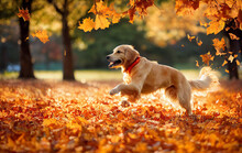 Golden Retriever Playing In Fall Leaves, Digital Art