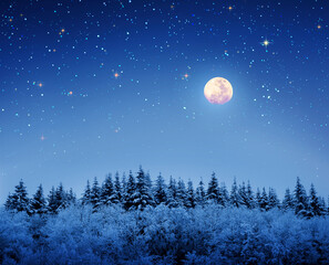 Christmas background with stars and big moon in winter forest.