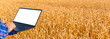 © ARVD73 - A businessman with a laptop in her hands works in wheat field, communicates and checks the harvest.Man farmer at sunny day with computer.Agricultural business concept.blank white screen.Mockup.