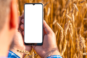 advertising mockup.empty white screen mockup,advertisement.male farmer standing in wheat field and u