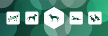 Dog And Training Filled Icon Set Isolated On Abstract Background. Glyph Icons Such As Locust, Springer Spaniel, Rottweiler, Border Collie, Dogs Vector. Can Be Used For Web And Mobile.