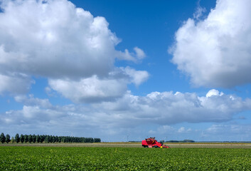 Wall Mural - Bietenoogst Flevoland || Beet harvest Flevoland