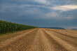 © Roman Bjuty - Field with green corn. There are dramatic clouds in the sky.