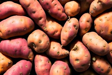Wall Mural - High-angle view of a stack of raw sweet potatoes
