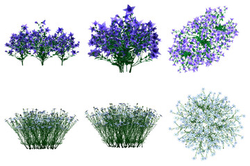 Wall Mural - pack of png vegetation. +6k. flowering bushes. made from 3d model for compositing