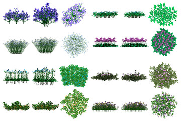 Wall Mural - Pack of PNG vegetation. +6K. Flowering Bushes. Made from 3D model for compositing