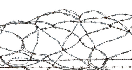 Barbed wire isolate. Territory protection wire