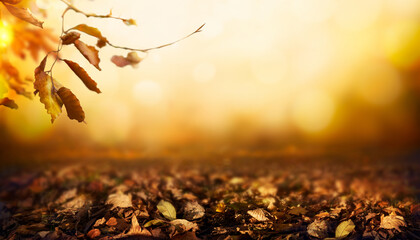 Wall Mural - an autumn golden sunset background of tree leaves and trees in the fall as winter approaches.