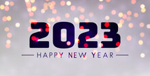 Banner With 2023 Happy New Year Sign On Sweaty Grass.