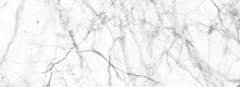 White Carrara Marble Stone Texture High Resolution