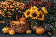 Thanksgiving Garden Decor With Flowers And Pumpkins
