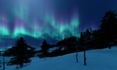 Wall Mural - a beautiful green and red aurora dancing over the hills