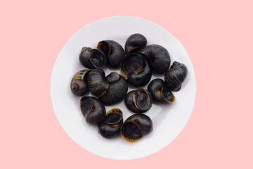 Aquatic gastropod mollusks, freshwater apple snail on dish, isolated on pink background. Concept : Edible snails that can be cooked in various delicious menu. Weird food.          