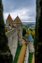 Poster - Aerial view of castle surrounded by trees in Carcassonne