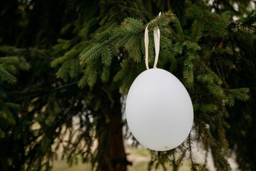 Sticker - Closeup shot of a white balloon hanging on a branch of a pine tree in a park