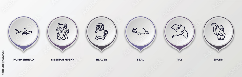 infographic template with outline icons. infographic for animals ...